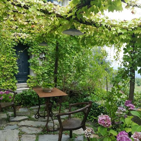 Casale Maria Mafalda Pieve di Teco Exteriör bild