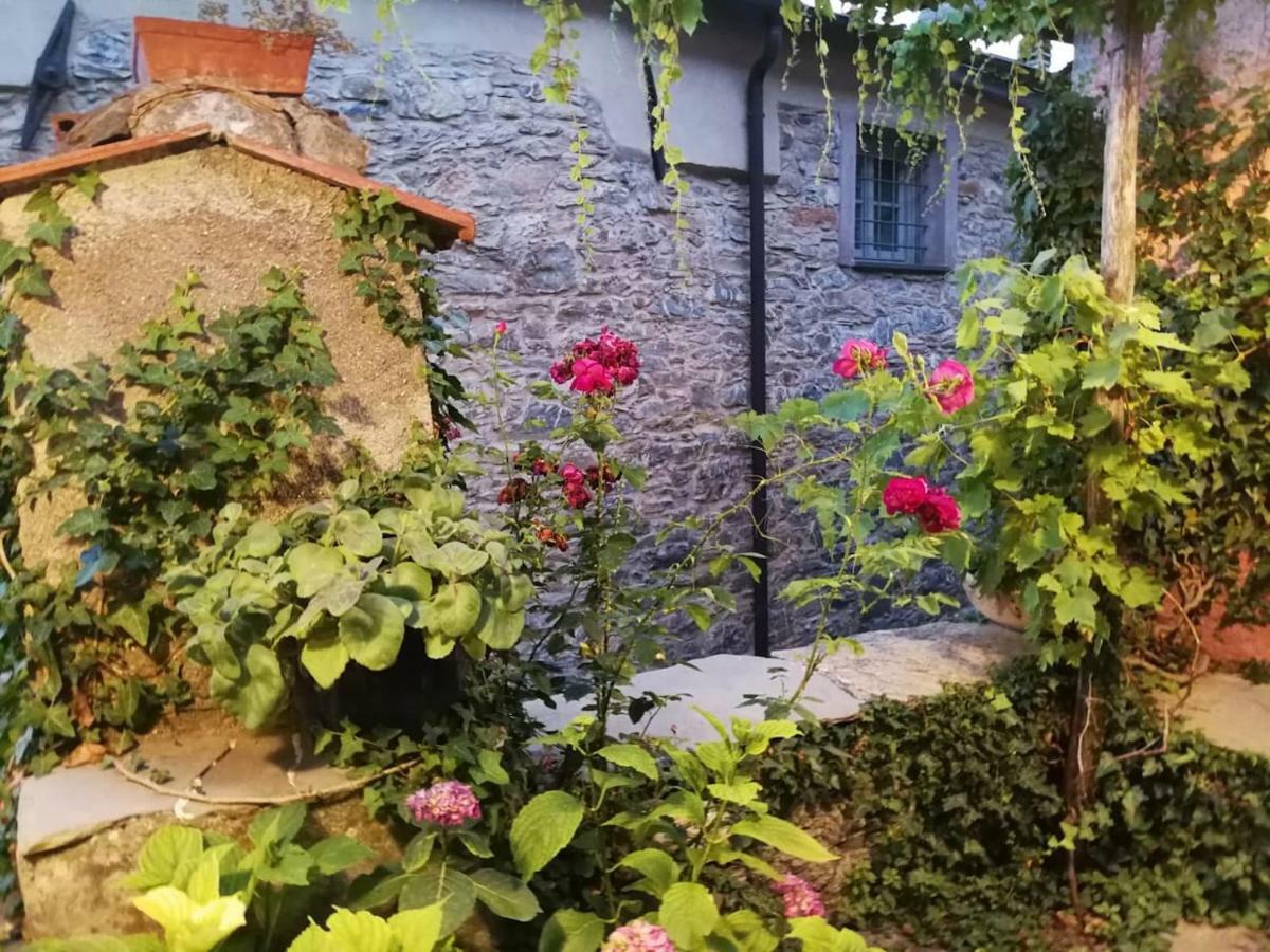 Casale Maria Mafalda Pieve di Teco Exteriör bild